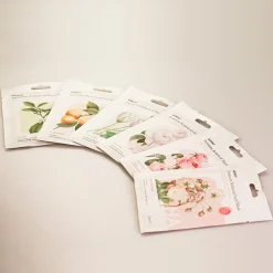 Premium Botanica Facial Mask - Moisturizing